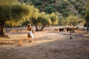 המעגל לחינוך וולדורף: קיץ - מעגל הכבשים הצמאות - לצעירים